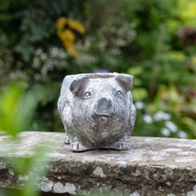 Load image into Gallery viewer, Pig Planter Antique White
