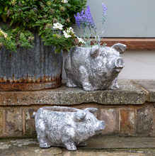 Load image into Gallery viewer, Pig Planter Antique White
