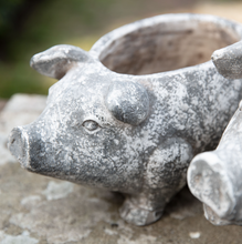 Load image into Gallery viewer, Pig Planter Antique White
