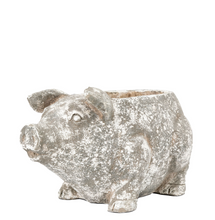 Load image into Gallery viewer, Pig Planter Antique White
