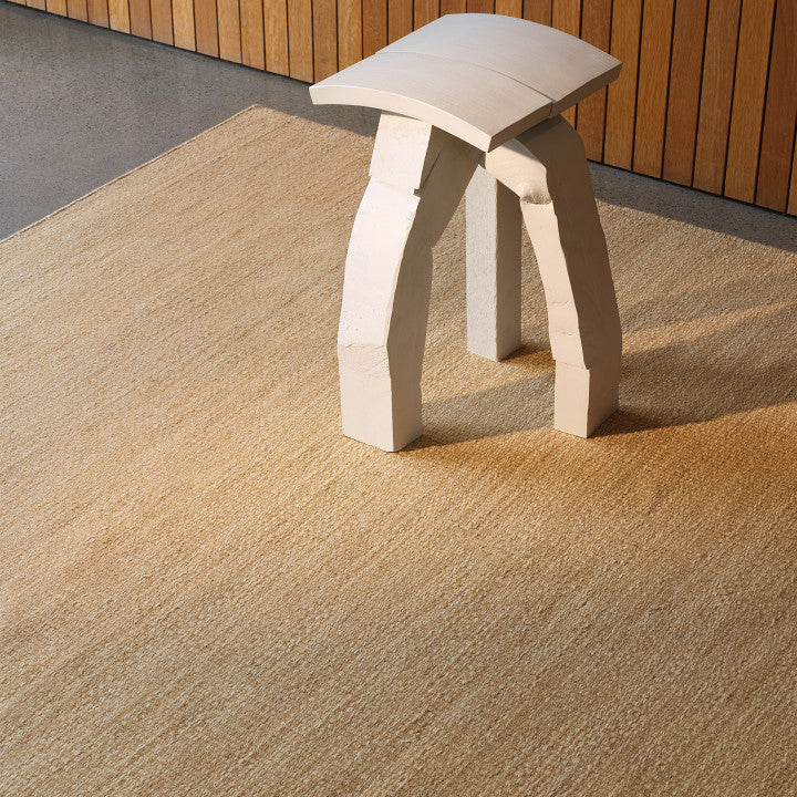 Mono Flat Weave Rug
