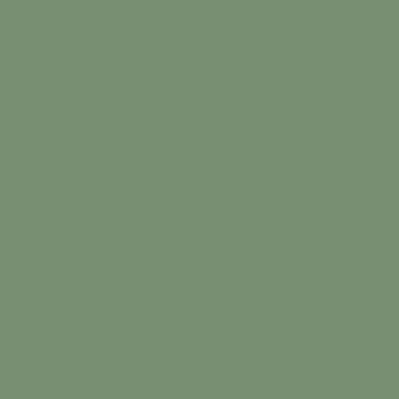 Morris & Co. Herball Paint