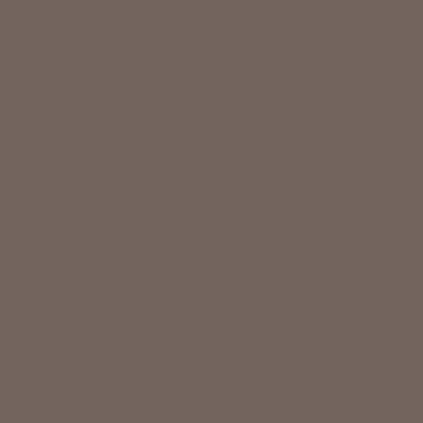 Morris & Co. Muddy Warren Paint