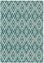 Load image into Gallery viewer, Nahli Flat Weave Chenille Rug
