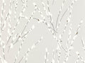 Mikado Wallcovering Pearl Romo