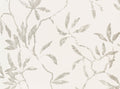 Sefina Wallcovering Whisper Romo