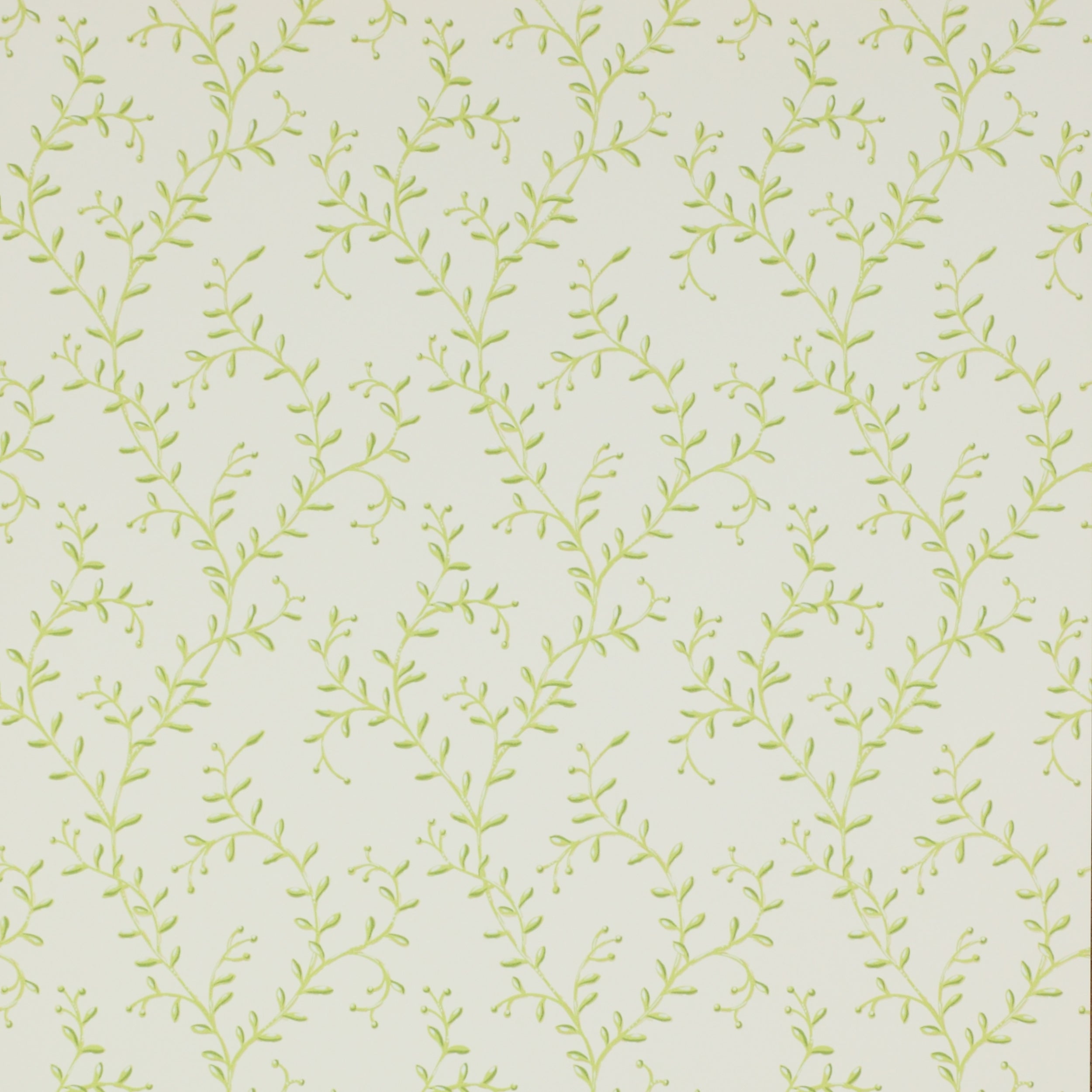 Leafberry Leaf Wallcovering Colefax and Fowler