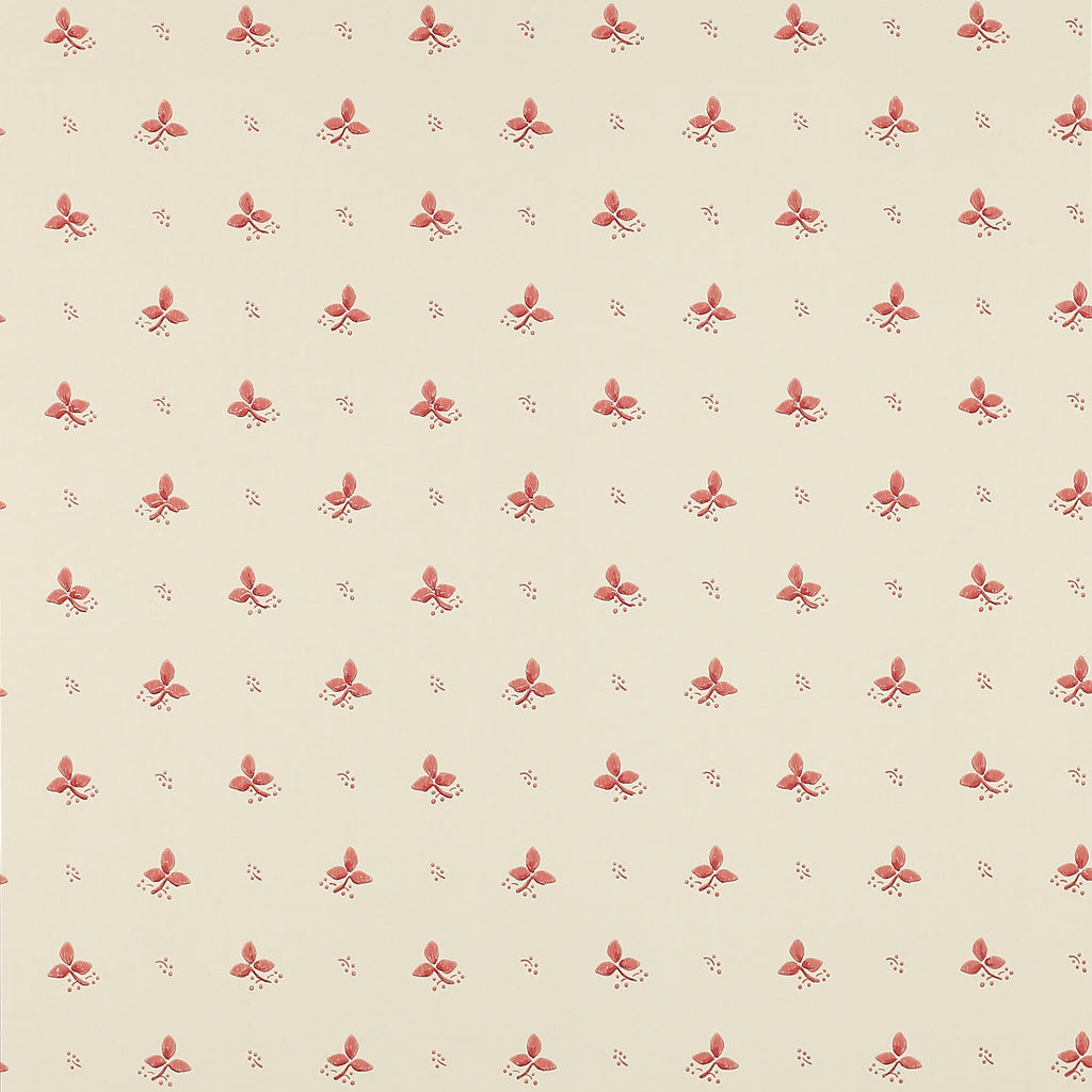 Ashling Pink Wallcovering Colefax and Fowler