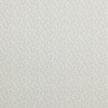Rushmere Aqua Wallcovering Colefax and Fowler
