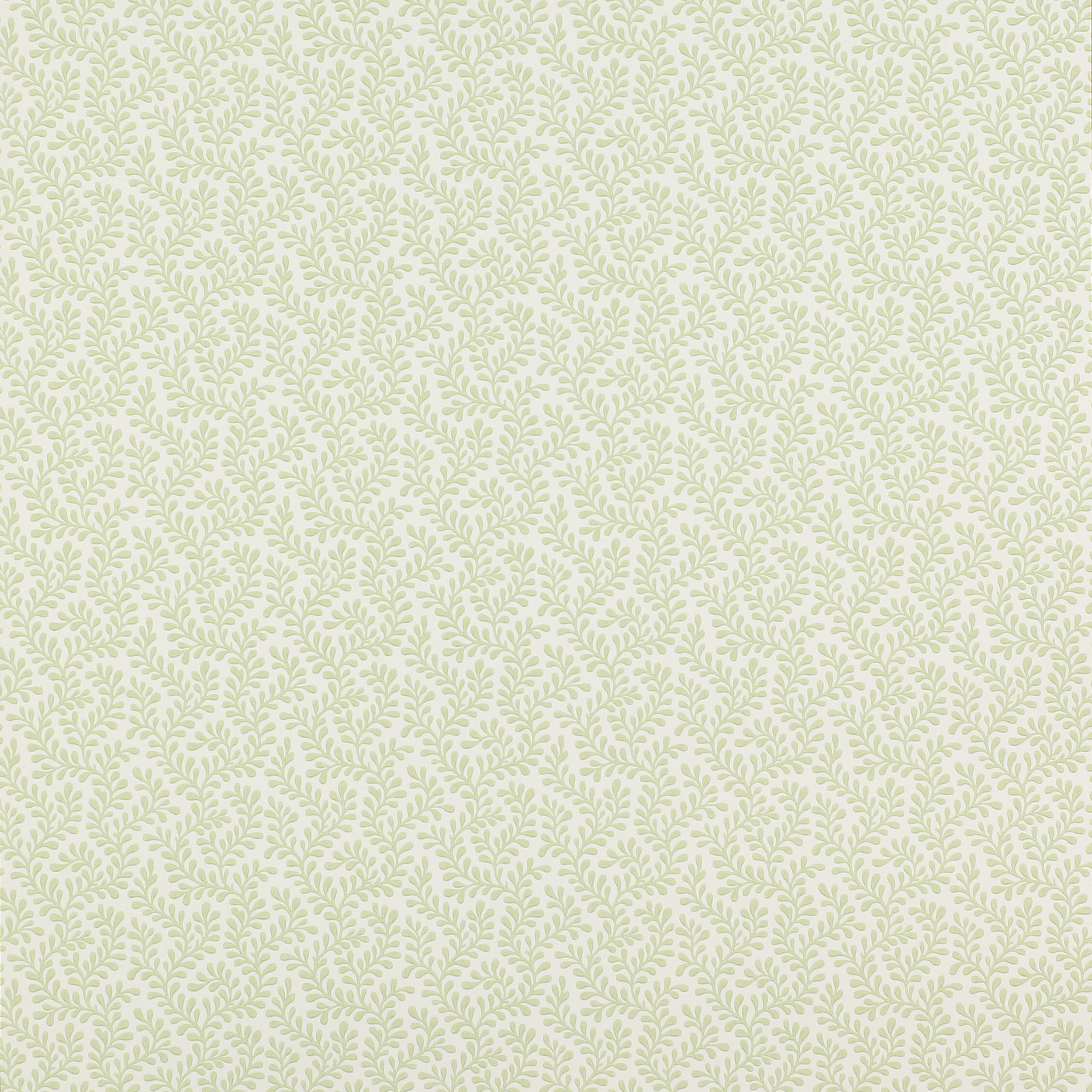 Rushmere Leaf Wallcovering Colefax and Fowler