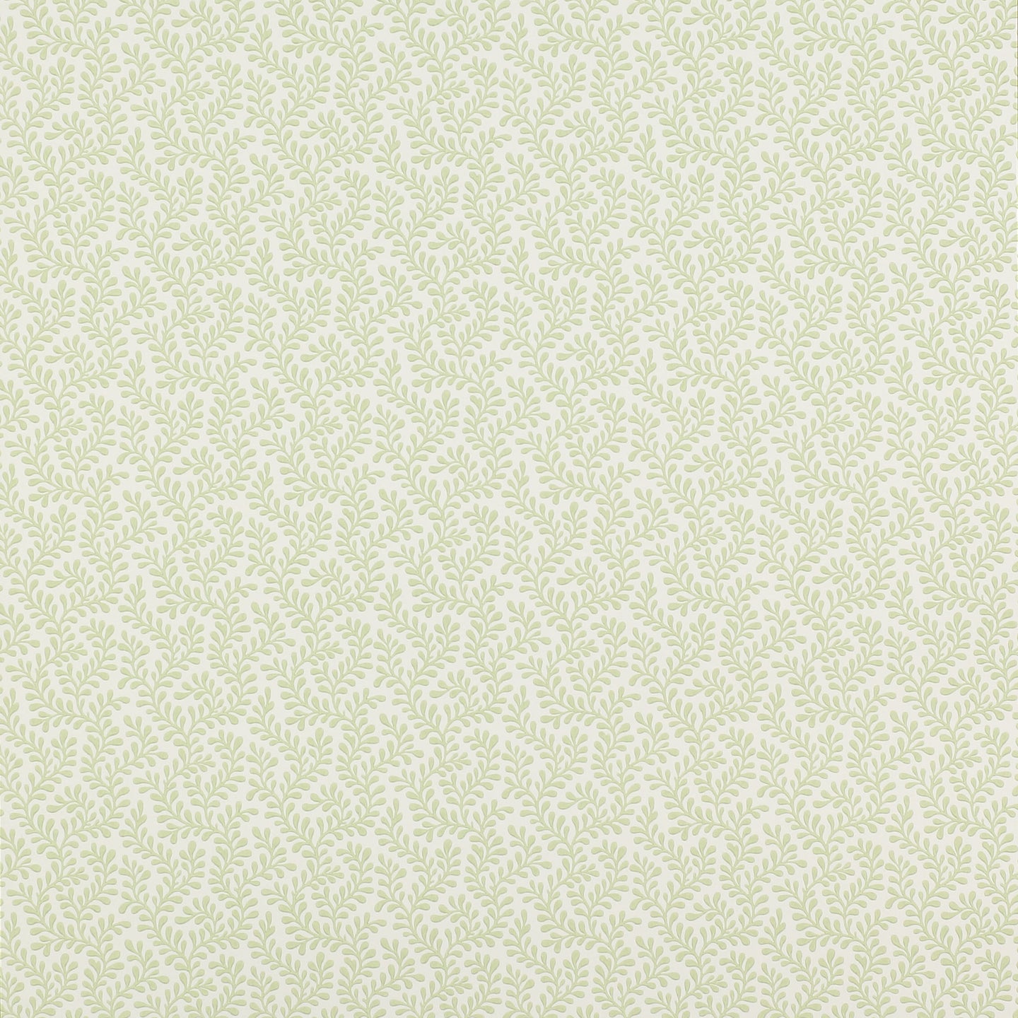 Rushmere Leaf Wallcovering Colefax and Fowler