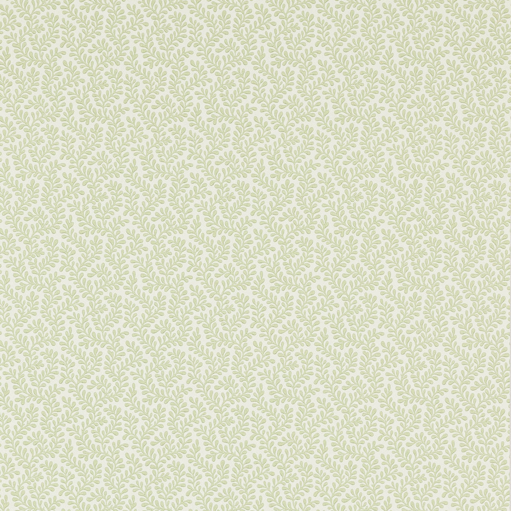Rushmere Willow Green Wallcovering Colefax and Fowler