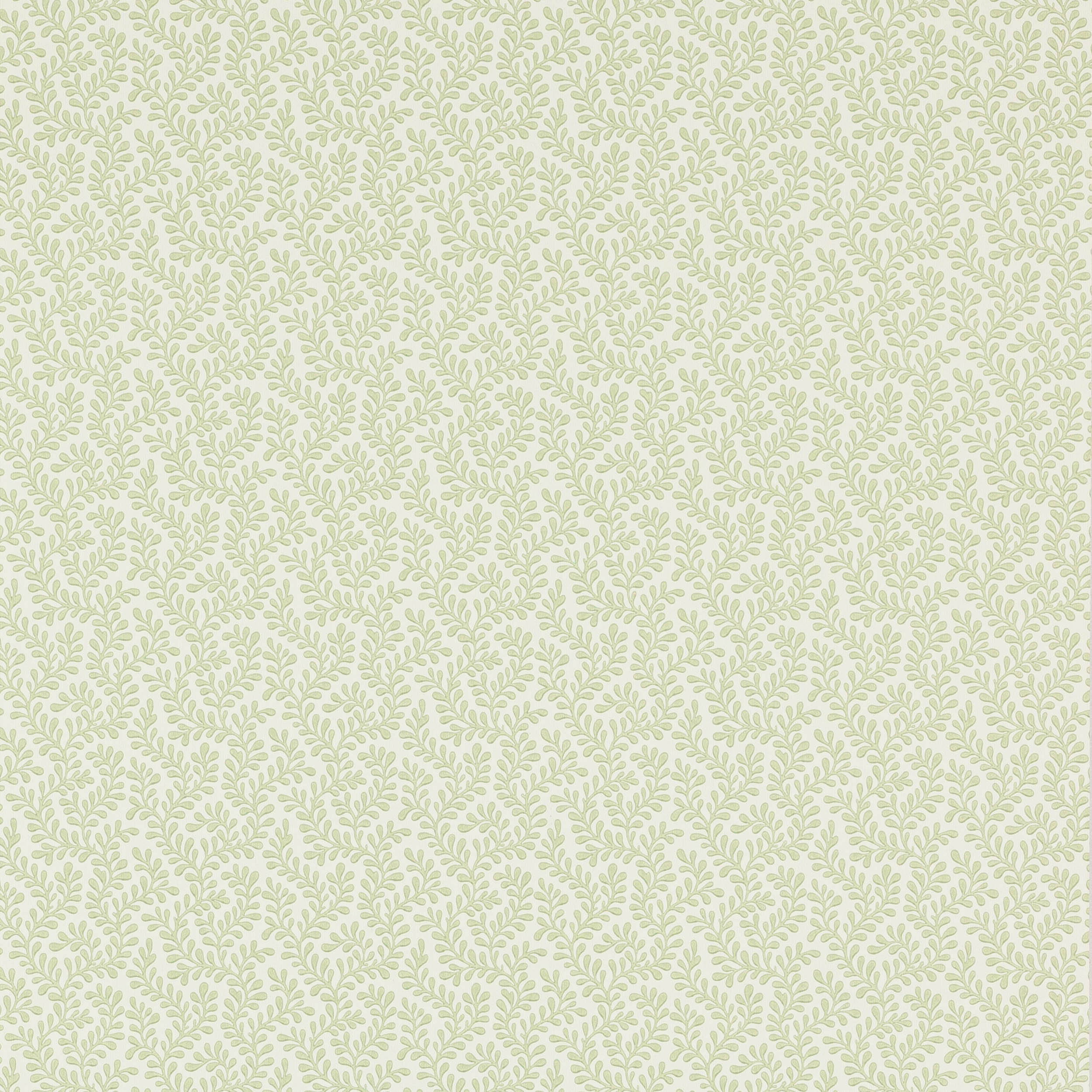 Rushmere Willow Green Wallcovering Colefax and Fowler