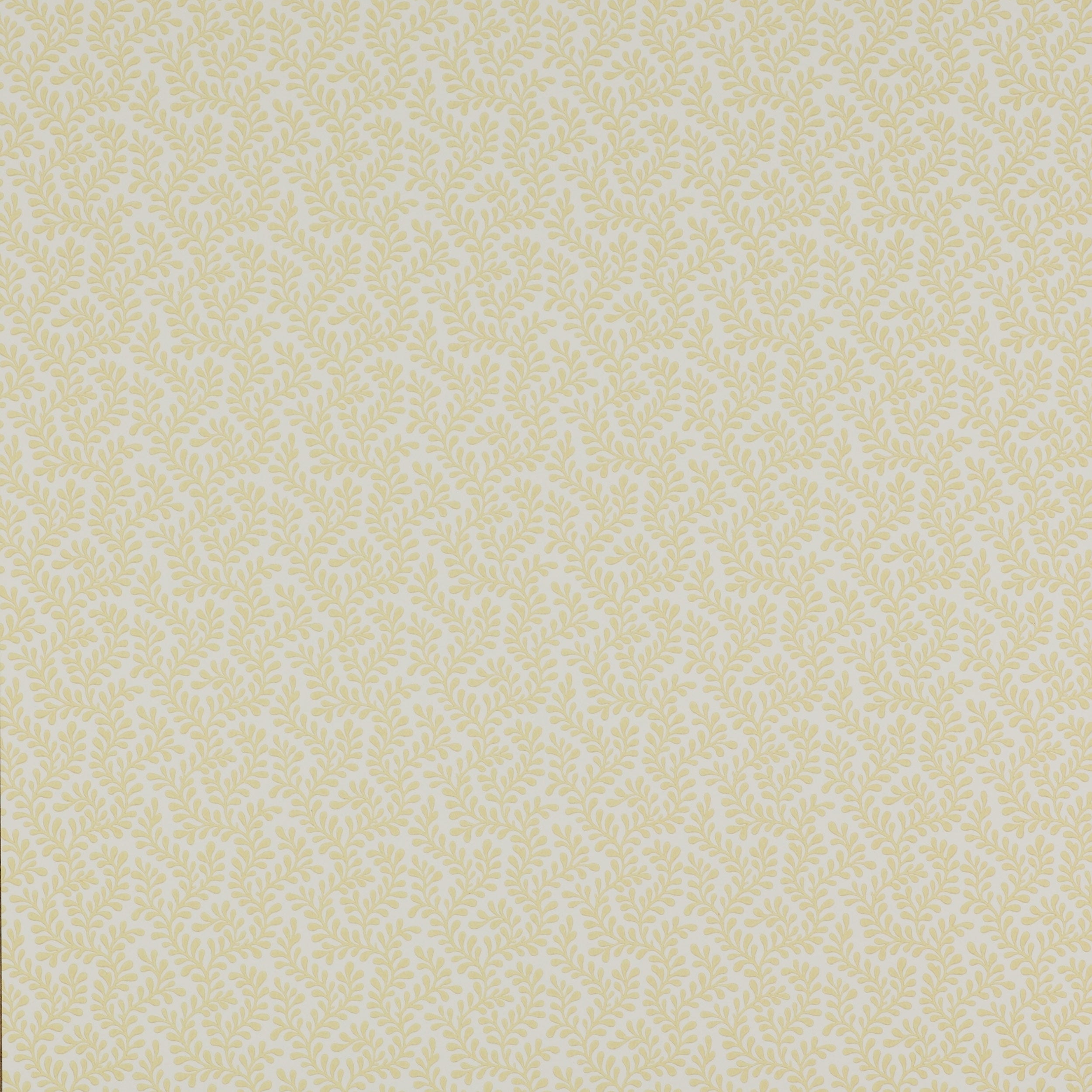 Rushmere Yellow Wallcovering Colefax and Fowler