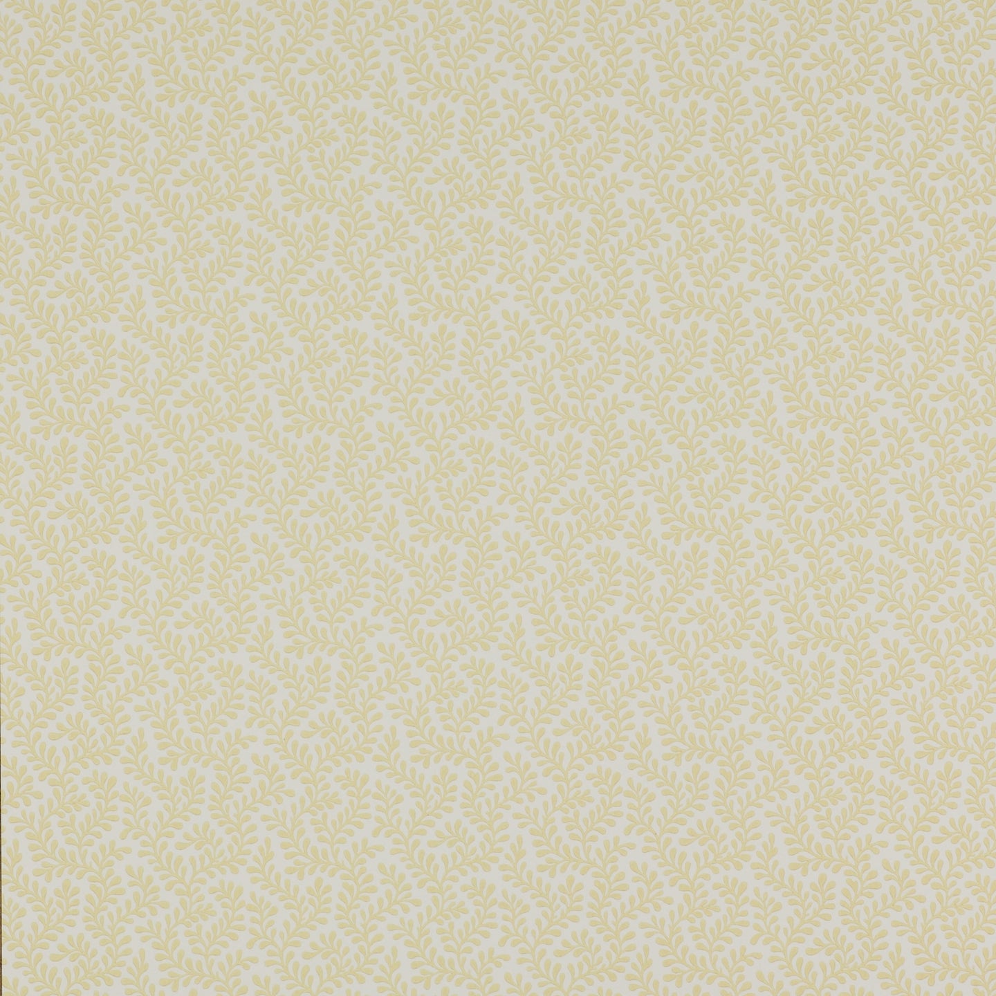 Rushmere Yellow Wallcovering